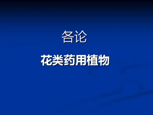 红花Microsoft PowerPoint 演示文稿