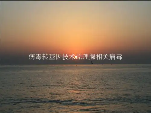 病毒转基因技术原理 腺相关病毒