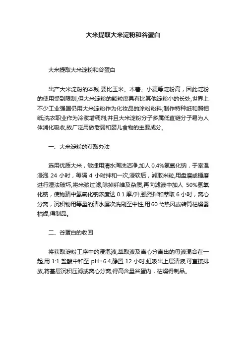 大米提取大米淀粉和谷蛋白