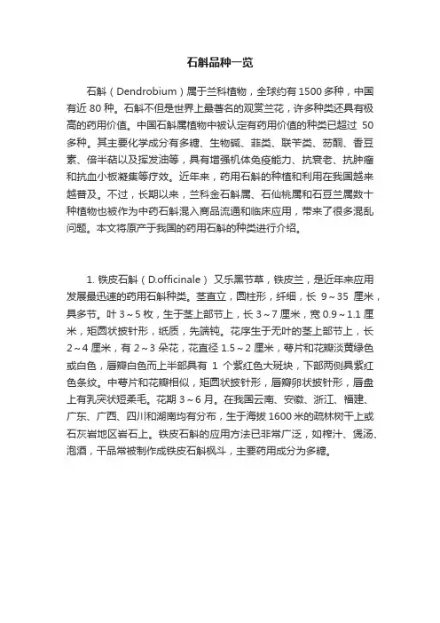 石斛品种一览