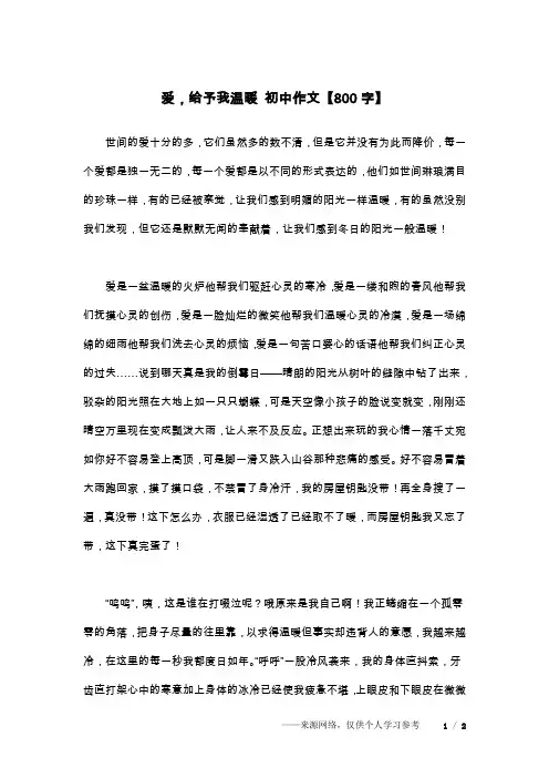 爱,给予我温暖 初中作文【800字】