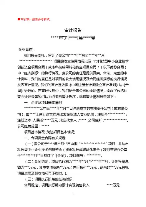 专项审计报告参考样式