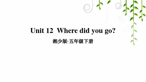 湘少版五年级英语下册Unit 12  Where did you go