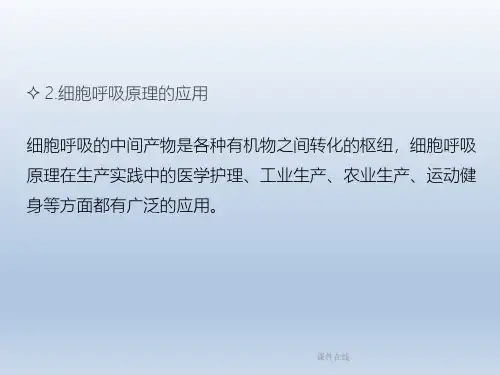 2020高考生物二轮复习第4章细胞代谢课件_1_56-60