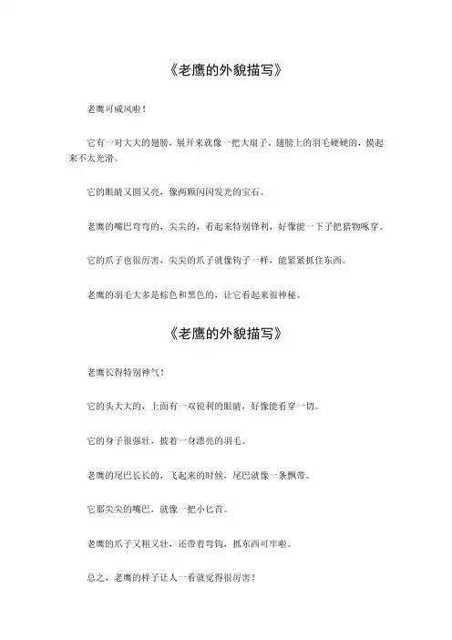 老鹰的外貌描写