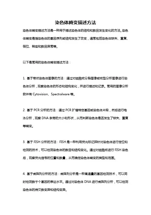 染色体畸变描述方法