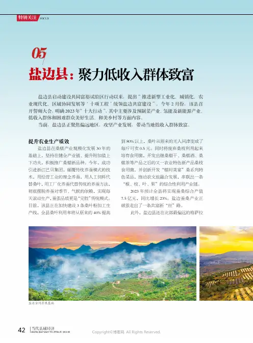 盐边县：聚力低收入群体致富