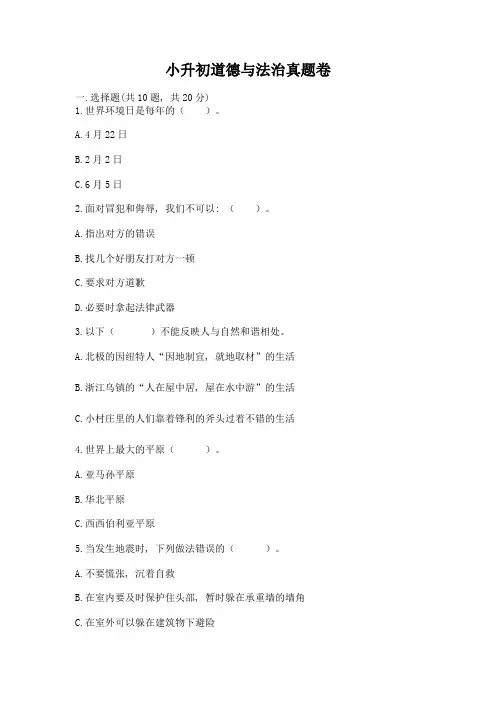 小升初道德与法治真题卷附答案【基础题】