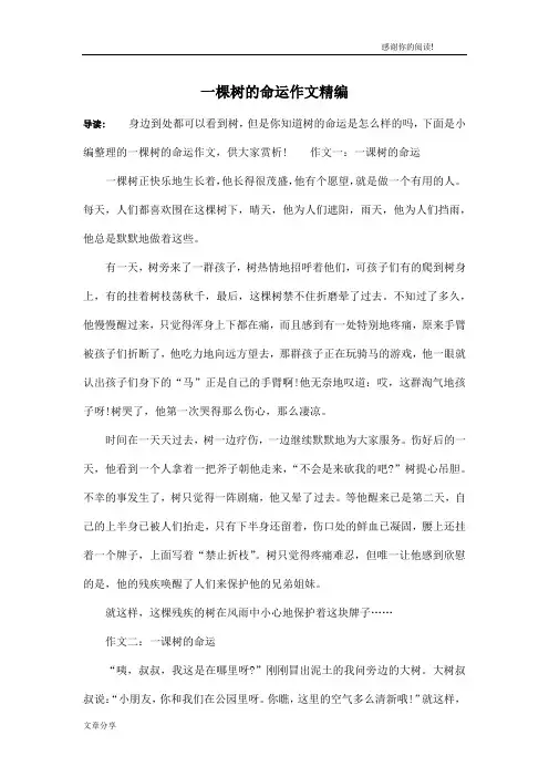 一棵树的命运作文精编