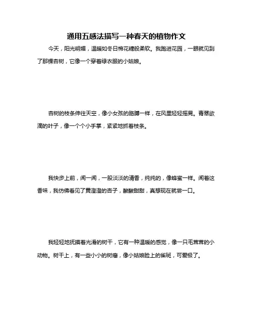 通用五感法描写一种春天的植物作文