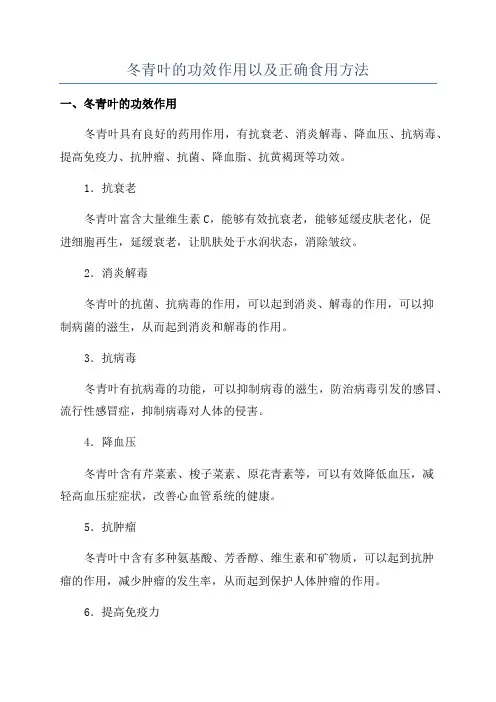 冬青叶的功效作用以及正确食用方法