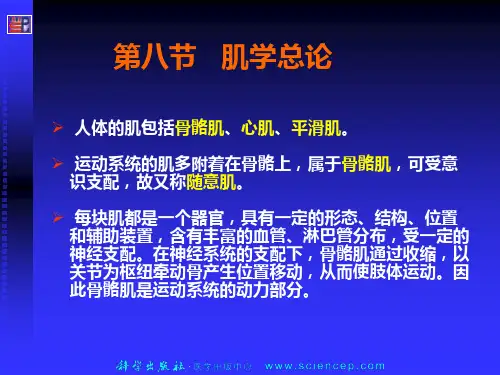 肌学