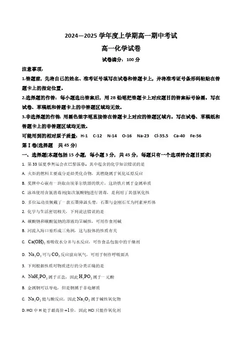 湖北省新高考2024-2025学年高一上学期11月期中考试化学试卷(含答案)