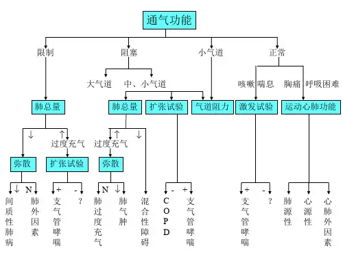 肺通气功能检查ppt课件