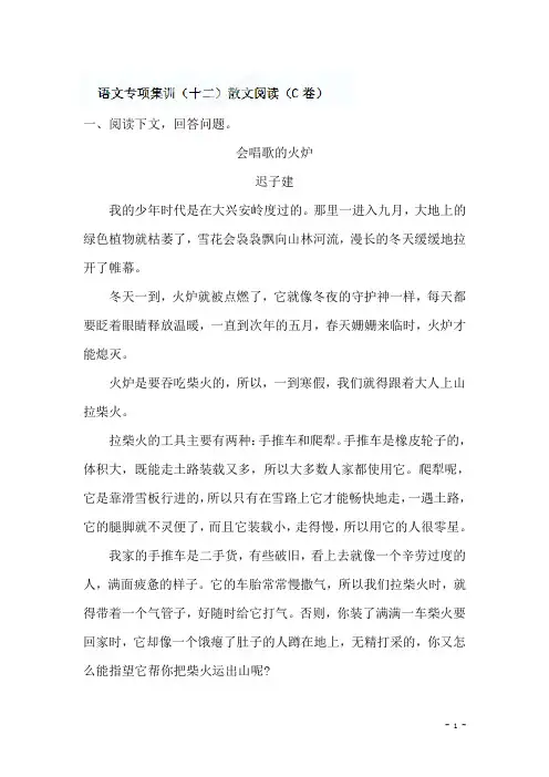 中考语文专项集训：散文阅读(C卷)【含答案解析】