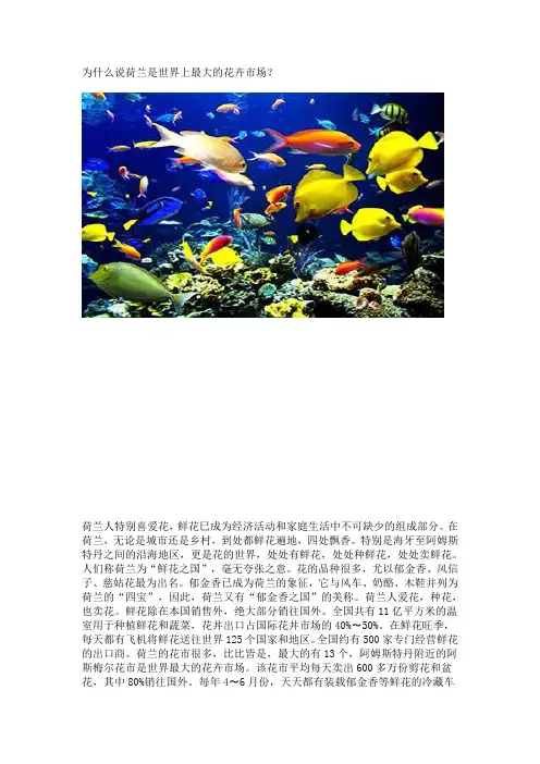 为什么说荷兰是世界上最大的花卉市场