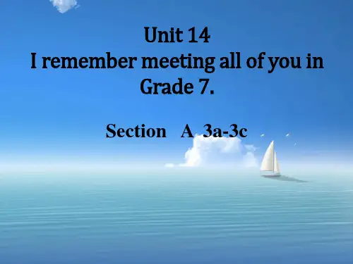 人教版九年级下册英语Unit14 Section   A  3a-3c.ppt