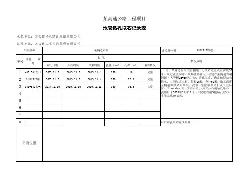 地表钻孔取芯记录表