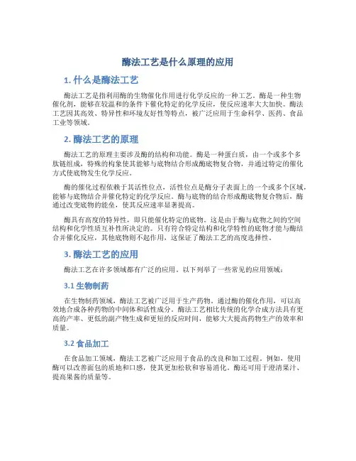 酶法工艺是什么原理的应用