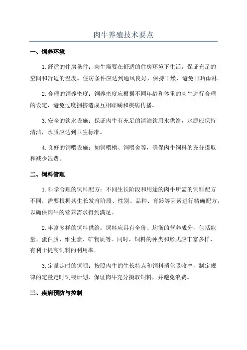 肉牛养殖技术要点
