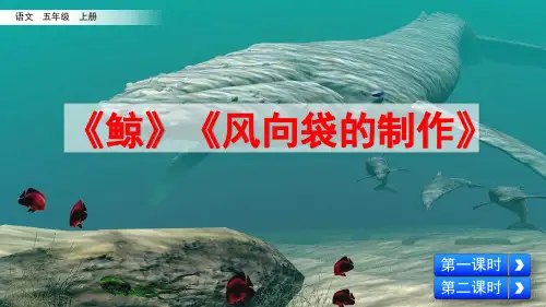 部编人教版小学五年级语文上册《习作例文与习作》课件