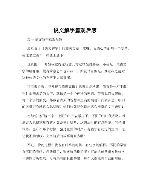 说文解字篇观后感