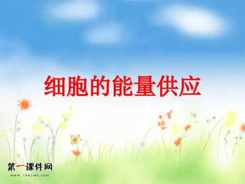 能量之源——光与光合作用2013届高考生物第一轮单元分析复习精品PPT教学课件