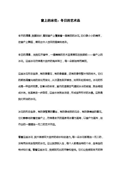 窗户上冰花的文章