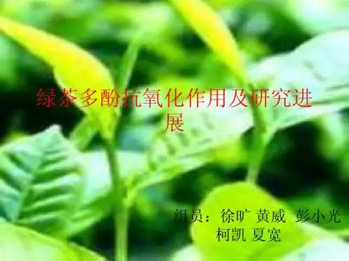 作业