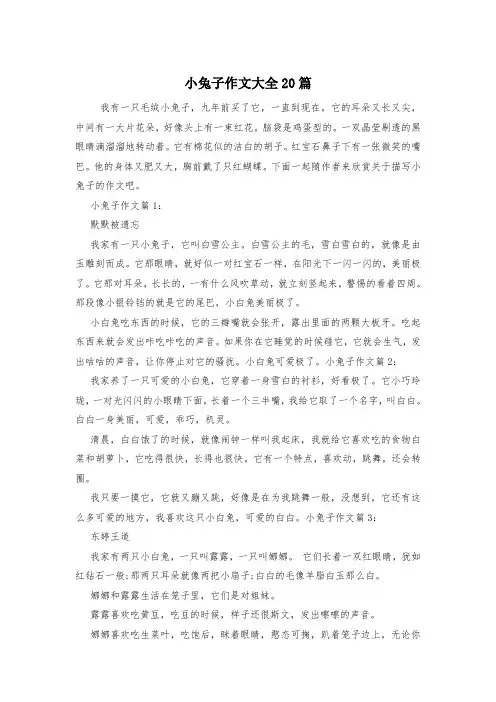 小兔子作文大全20篇