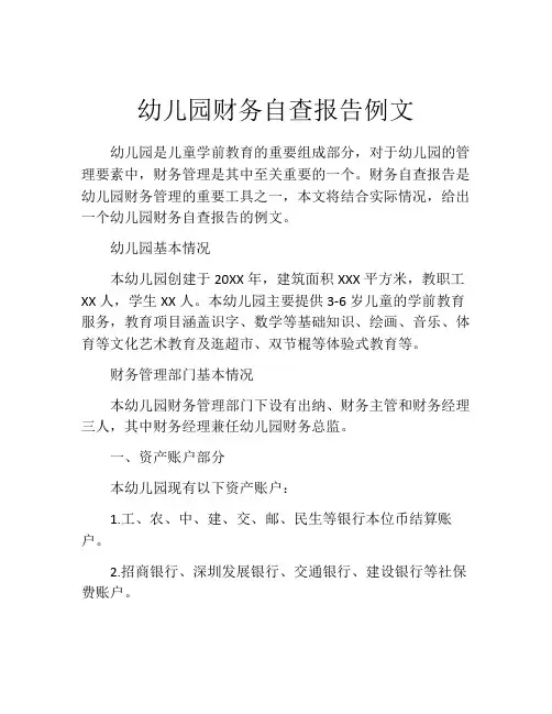 幼儿园财务自查报告例文