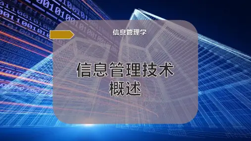 信息管理技术概述