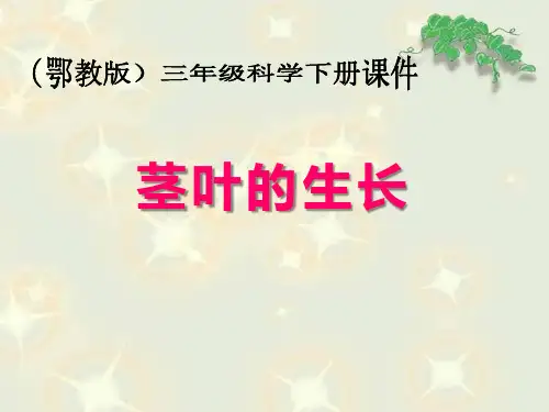 《茎叶的生长》教学ppt课件(优选)