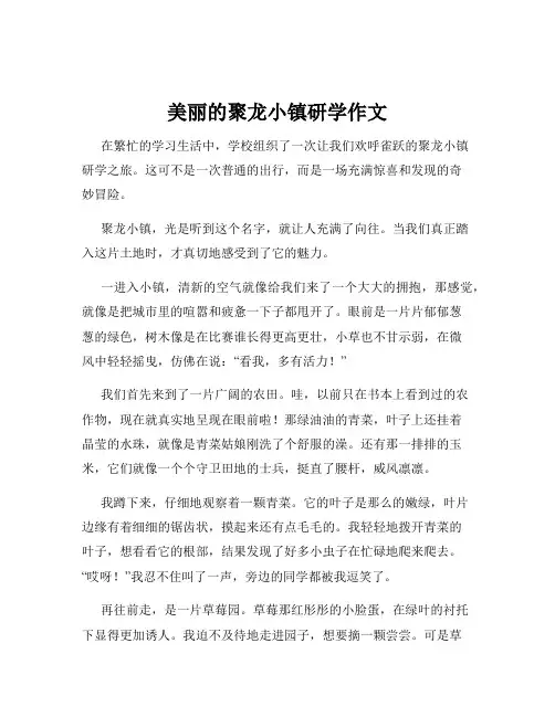 美丽的聚龙小镇研学作文