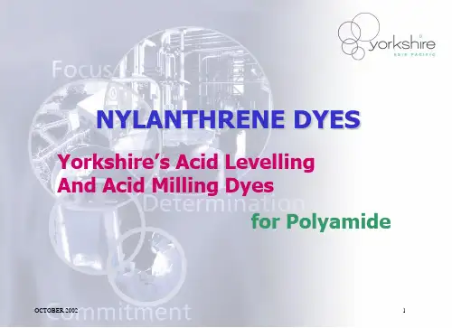 YAP-Nylanthrene Dyes for Polyamide