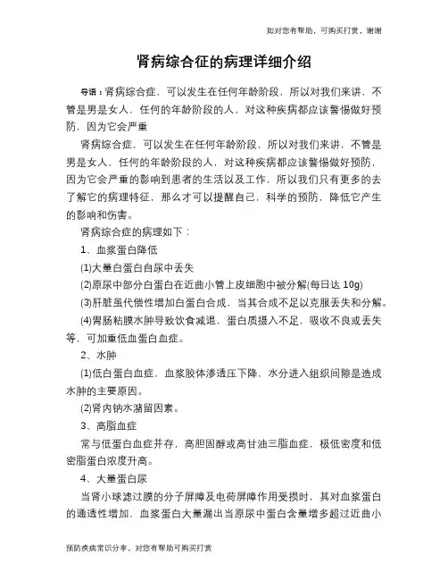 肾病综合征的病理详细介绍