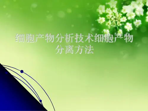 细胞产物分析技术细胞产物分离方法优秀课件