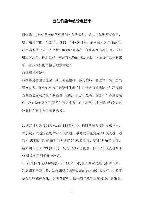 西红柿的种植管理技术