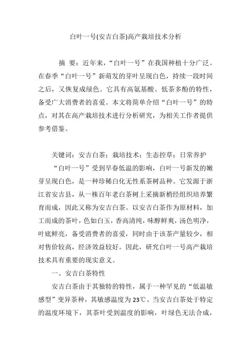 白叶一号安吉白茶高产栽培技术分析