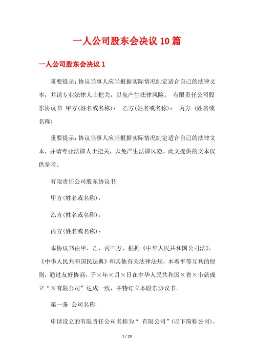 一人公司股东会决议10篇