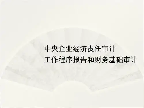 经济责任审计-程序报告财务审计(ppt 106页)