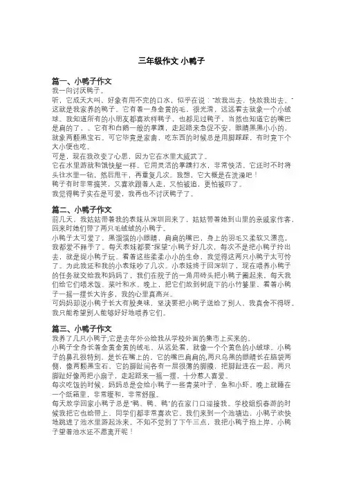 三年级作文 小鸭子