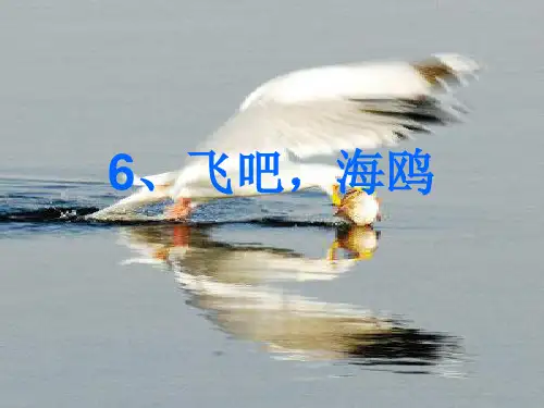 三年级语文下册-飞吧海鸥-2课件-语文S版