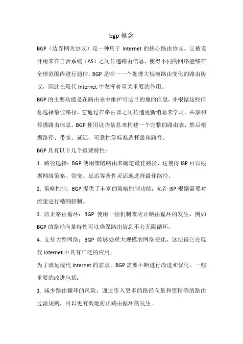 bgp概念
