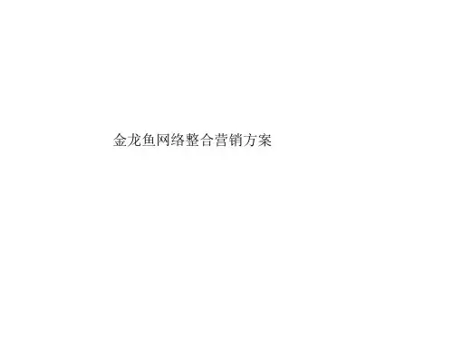 金龙鱼网络整合营销方案