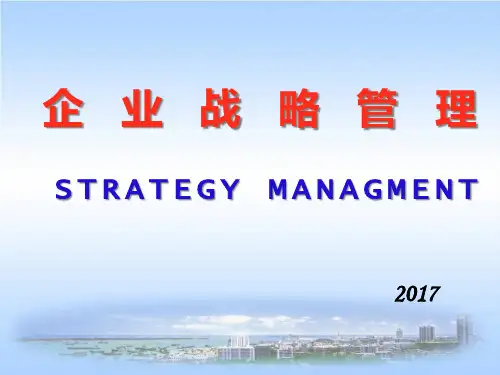 战略管理第6章_2