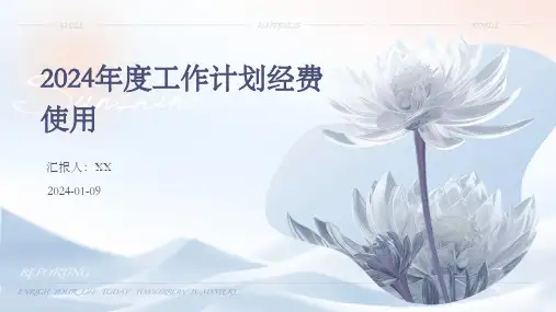 2024年度工作计划经费使用