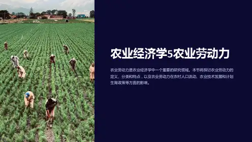 农业经济学5农业劳动力