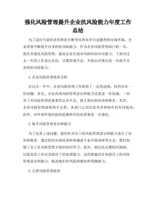 强化风险管理提升企业抗风险能力年度工作总结