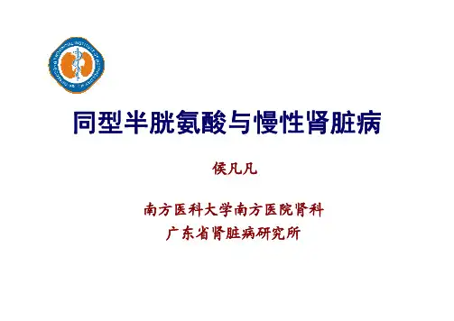 同型半胱氨酸与慢性肾脏病